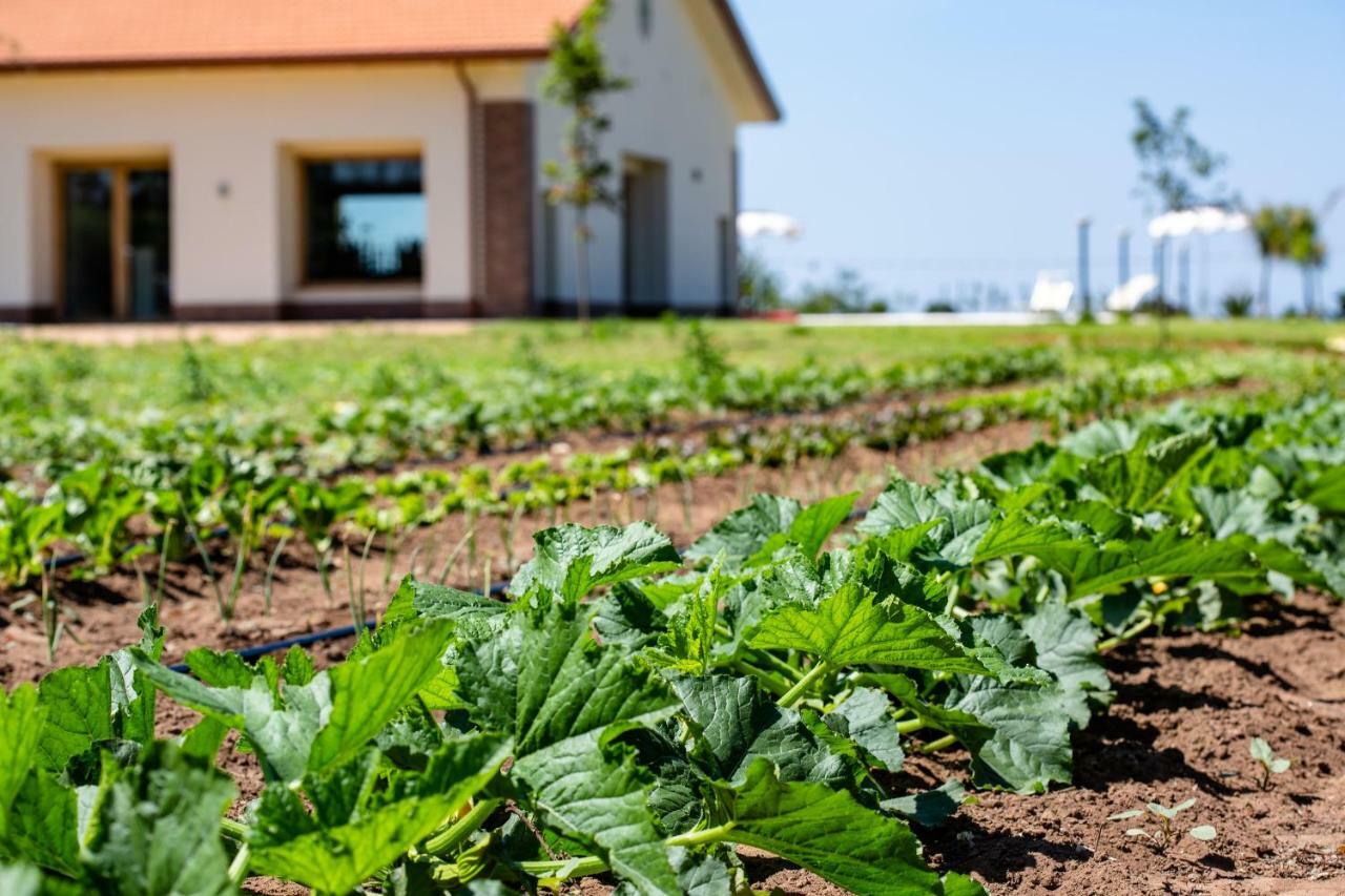 Agriturismo Acquachiara 사바우디아 외부 사진